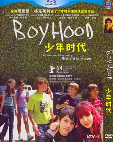Boyhood (2014) DVD Box Set