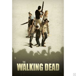 The Walking Dead Season 4 DVD Box Set