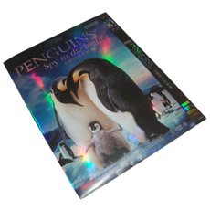 Penguins: Spy in the Huddle Season 1 DVD Box Set